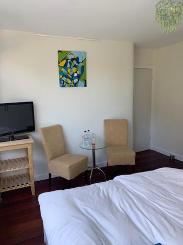 Villa Cosy Central Incl Jacuzzi Near Trainstation, Beach And City Heemstede Zewnętrze zdjęcie