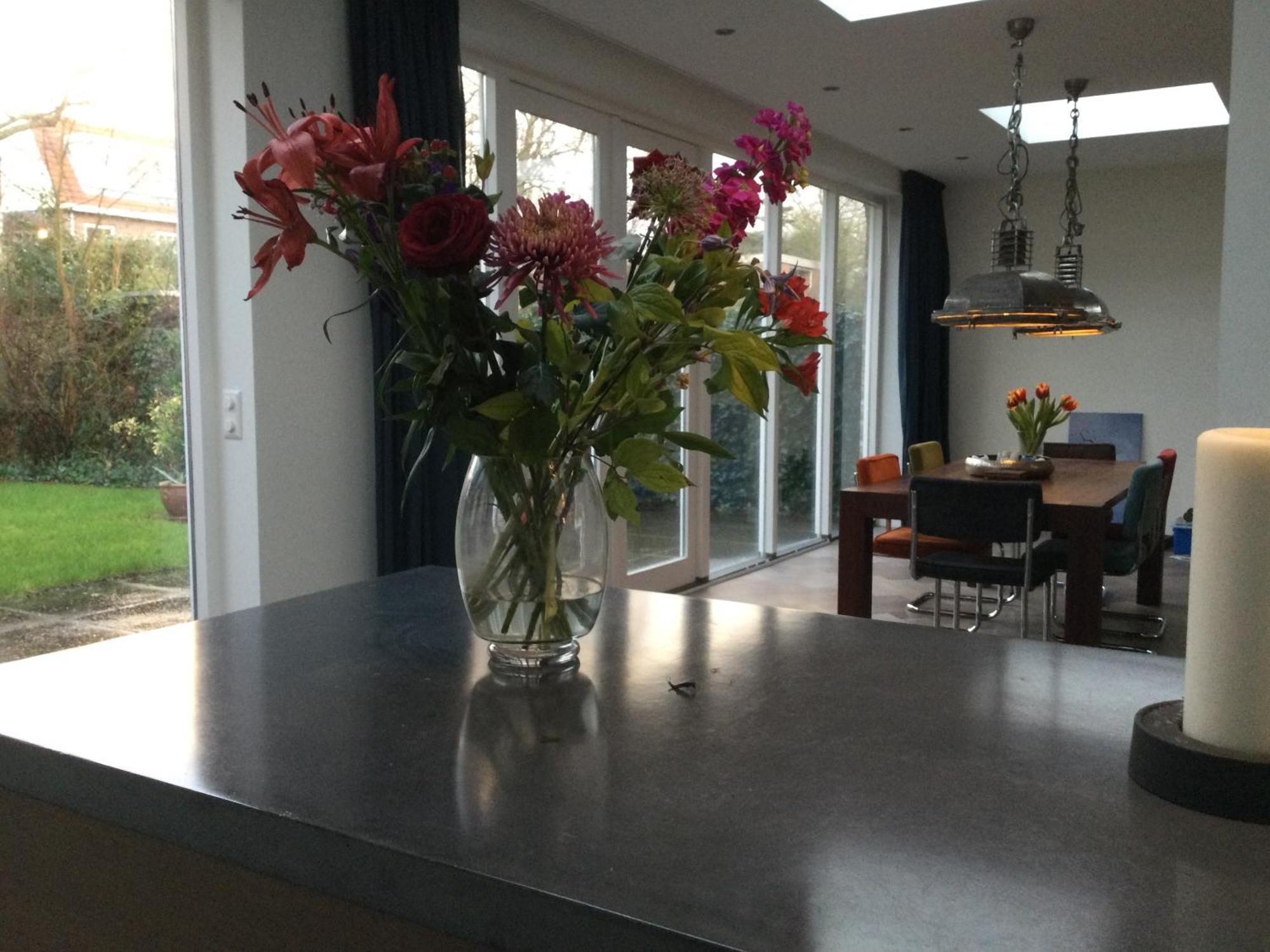 Villa Cosy Central Incl Jacuzzi Near Trainstation, Beach And City Heemstede Zewnętrze zdjęcie